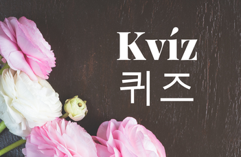 Hangeul Day Korean Grammar Quiz - School